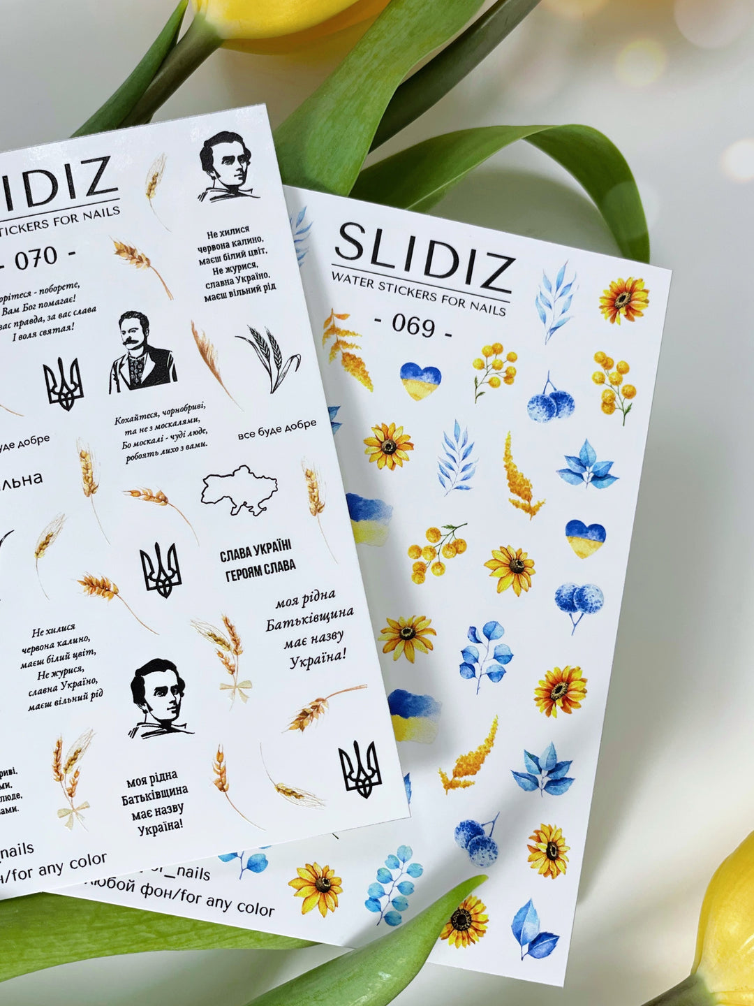 SLIDIZ WATER DECAL N°070