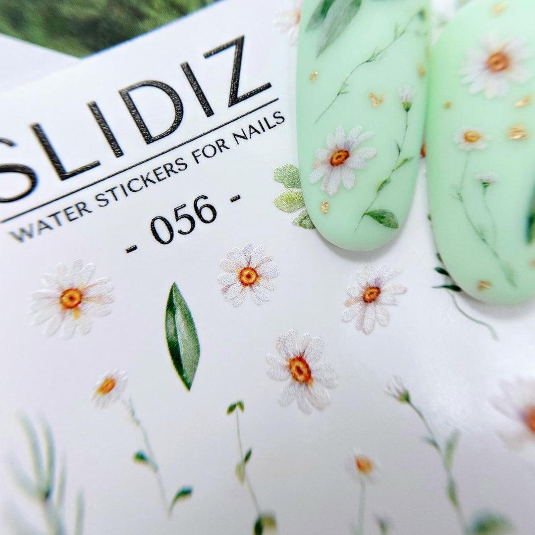 SLIDIZ WATER DECAL N°056